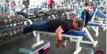 BACK Exercise with Dumbbells - Lying DB Rows