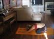 Low Back Pain Relief - Self Help