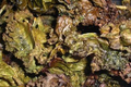 Baked Salted Kale Chips