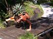 Advanced Yoga Demo In Bali With Dashama