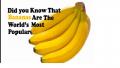 Buying and Storing Bananas