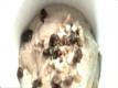 Banana Buckwheat Porridge