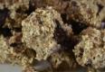 How To Make Christmas Special Banana And Choco Chip Cookies