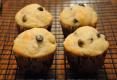 How To Make Easy Banana Chocolate Chip Muffin