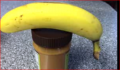 Eat Bananas!