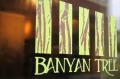 Banyan Tree Thai Featured on Best of the Block