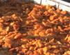 How To Make Barbecued Mac And Cheese