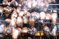 How To Make Barbeque Chicken Hearts