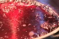 Basic Balsamic Red Wine Reduction Sauce