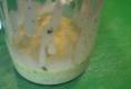 Basic Basil Vinaigrette