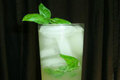 SKINNY Basil Pineapple Cocktail