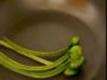 How To Make #962 Ferns