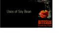 Uses of Soy Bean