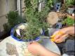 How To Make Vietnamese Beef Pho part 1 of 8