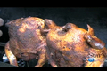 How To Make Grilled Beer Marinated Chicken