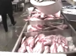 Behind The  Scenes At Fulton Fish Market