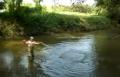 Organic Farming in Chiang Mai in Thailand