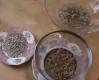 Benefits Of Soaking And Sprouting Nuts And Seeds
