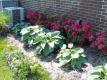 Betty Plants Her Herb Garden