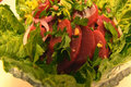 Betty's Beet and Romaine Salad -- Mother's Day 