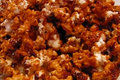 Betty's CrackerJack Attack