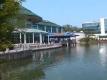 Betty's Lunch At Regatta Seafood Grille  Video
