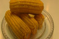 Betty's Microwave Corn On The Cob -- Easter 
