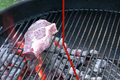 How To Make Quick And Simple Bison New York Strip Steak