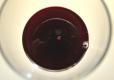 How To Make Black Currant Syrup