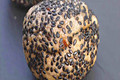 Black Sesame Seed Balls