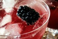 How To Make Blackberry Infused Gin