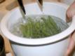 How To Blanch Asparagus