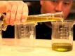2009 Jordan Extra Virgin Olive Oil Blending Process (The Journey Blog 2.26.10)