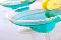 How To Make The Barrakuda Margarita