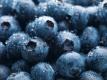 How To Make Blueberry Pie