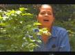 Tips For Edible Landscaping