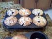 Blueberry Muffins