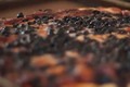 How To Make Blueberry Pizza
