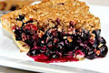 Fresh Blueberry Crumb Pie