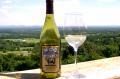 Views From The Vineyard: Bluemont Vineyard