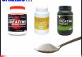 Bodybuilding Supplements Guide