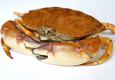 Boiled Crab