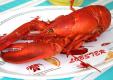 Boiled Lobster