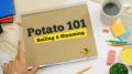 Boiling And Steaming Potatoes