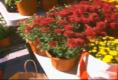 An Overview Of Boston Public Market