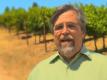 Cellar Angels Presents: Bravante Vineyards, Howell Mountain