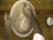 How To Make Bread Making