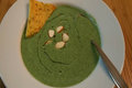 Broccoli Soup