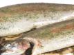 Broiled Stuffed Trout