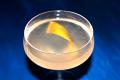 How To Make Bull Shot Cocktail